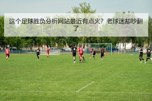 zhe-ge-zu-qiu-sheng-fu-fen-xi-wang-zhan-zui-jin-you-dian-huo-lao-qiu-mi-que-chao-fan-le-2-200.jpg