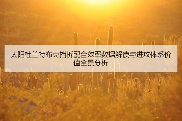 tai-yang-du-lan-te-bu-ke-dang-chai-pei-he-xiao-lv-shu-ju-jie-du-yu-jin-gong-ti-xi-jia-zhi-quan-jing-fen-xi-2-108.jpg