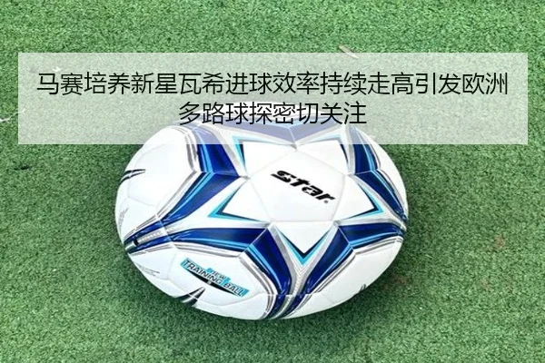 马赛培养新星瓦希进球效率持续走高引发欧洲多路球探密切关注
